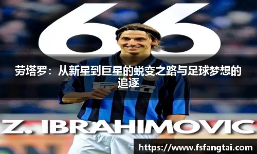 星空·综合体育官方网站